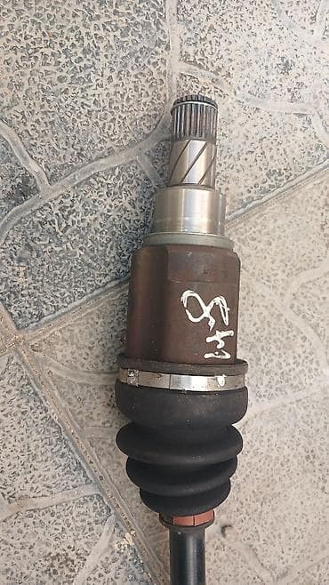 traxdir tekeri: ÜNVAN:Qarçuxur Lukoil ydm (yazılıb hamısı təzədir işlənməyib əlavə — 3