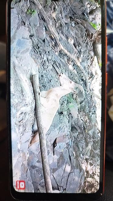 tv box android: Redmi Note 9, 64 GB, rəng - Narıncı, Barmaq izi — 5