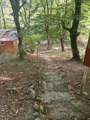 kirayə aylıq: 3000 kv. m, 3 otaqlı — 8