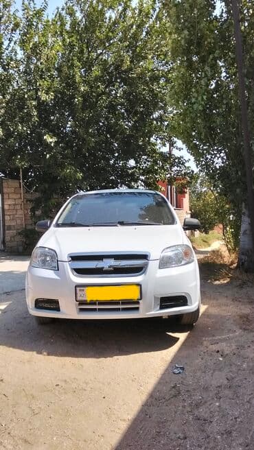 masinim var ag rengi: Chevrolet Aveo sedan – ağ rəng, 4 qapılı, ön ötürücülü şəhər — 2