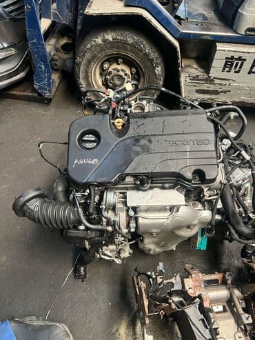 ucuz motorlar: Bu, yaxşı vəziyyətdə olan və işlək vəziyyətdə olan Ecotec — 2