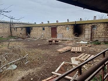 İnkubatorlar: Quşçuluq təsərrüfatı üçün hazır obyekt Hazir biznes kimi — 3