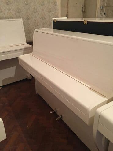 zimmermann: Pianino ZİMMERMANN Almaniya stehsalı. Əla vəziyyədədi. Cadırılma və — 3