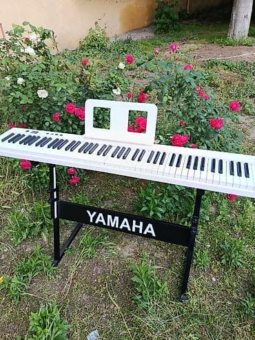 Piano, Rəqəmsal, Yeni, Pulsuz çatdırılma