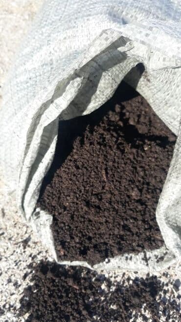 ağ balıq qiyməti: Torf Balakən Topdan qiymət 1.5 qəpik — 3