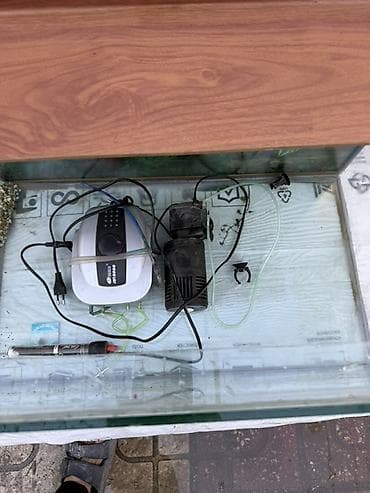 heyvan derisi: Dördbucaq akvarium, Boş, 200 l — 1