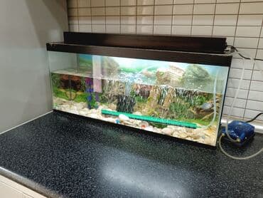 Lincoln: Tam komplekt akvarium seti - Şüşə akvarium, üst qapaqlı - Daxili — 5