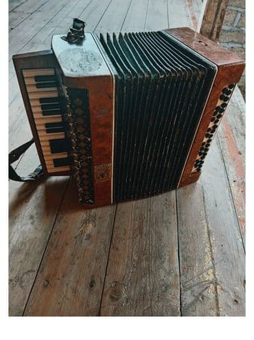 пианино ronisch цена: Akustik Akkordeon — 2