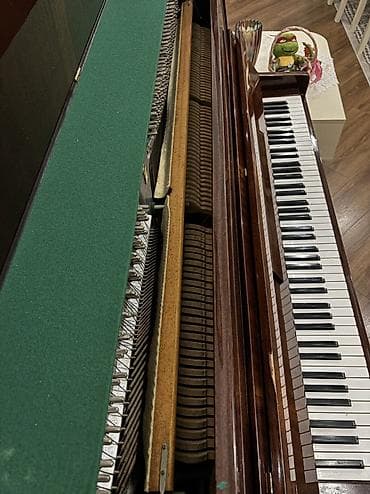 real gitara: Piano, Belarus, Akustik, İşlənmiş, Ünvandan götürmə — 1