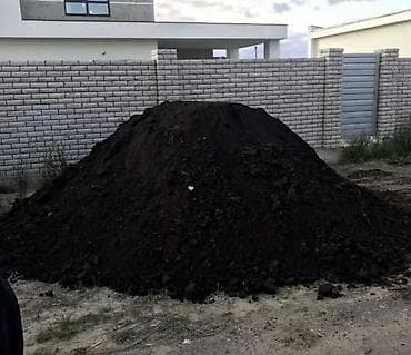 xurma agaci: Qara torpaq – peyzaj və bağçılıq üçün - Qidalı, humusla zəngin qara — 4