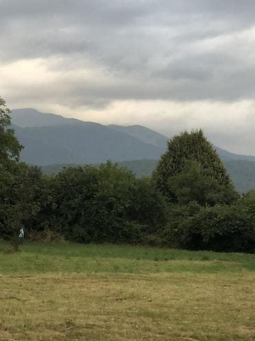 Квартиры: 52 соток, Возможен обмен, Купчая — 4