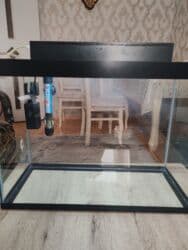 Şüşə akvarium komplekti - Ölçü: 45×20 sm (dikdörtgen forma, geniş ön lalafo.az -da Şüşə akvarium komplekti - Ölçü: 45×20 sm (dikdörtgen forma, geniş ön