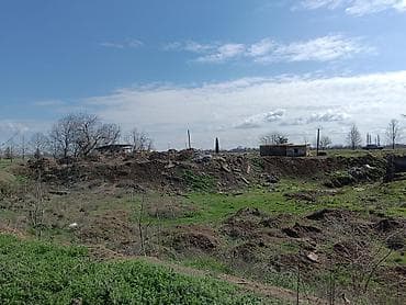 Hər bir sənəti var Firma sənətindən tutmuş işdanp peçatına kimi bir — 9