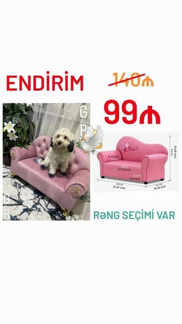 firuzeyi reng: Mini-divan, Yeni — 1