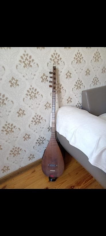 Elektrik saz Göründüyü kimi saz çox gözəl və antikvardır. Aşıq Dudunun