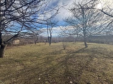 Mənzillər: Satılır: Böyük həyətyanı torpaq sahəsi və kənd evi - Geniş — 2