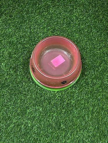 pitpul it: Ev heyvanları üçün plastik yemək-su qabı - Material: yüngül və — 2