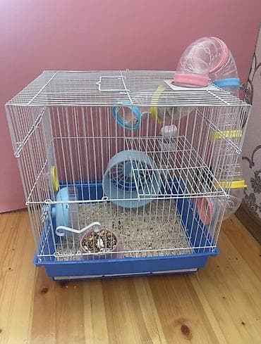 su samuru: Siçovul/cərcivə (xüsusilə hamster üçün) qəfəs dəsti - Ölçü: təxminən — 1