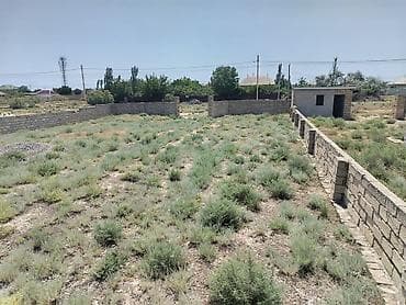 yasma: 6 sot, Tikinti, Kupça (Çıxarış) — 6