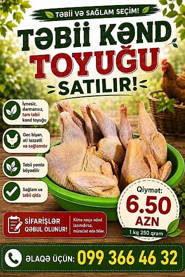 Təbii kənd toyuğu satılır! Məhsul xüsusiyyətləri: - İynəsiz