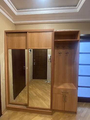 şefoner: İşlənmiş, 2 qapılı, Güzgülü, Digər rəng, Digər material, Kupe, Düz dolab — 2