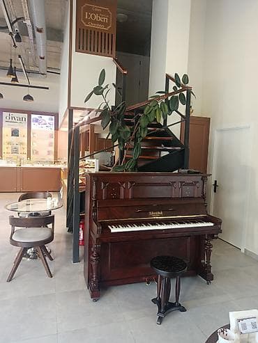 Музыкальные инструменты: Upright pianino – Rönisch Leipzig - Korpus: tünd qəhvəyi/qırmızı — 4