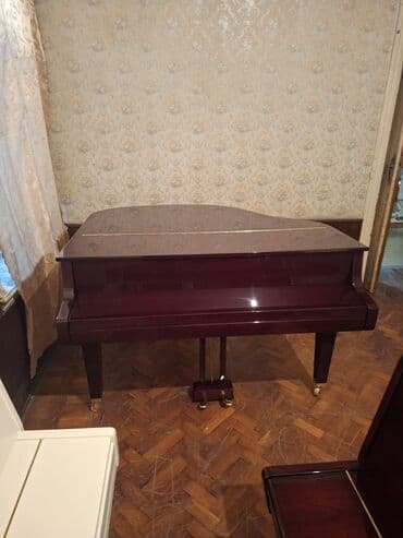 Musiqi alətləri: Royal, Akustik, Yeni, Pulsuz çatdırılma — 2