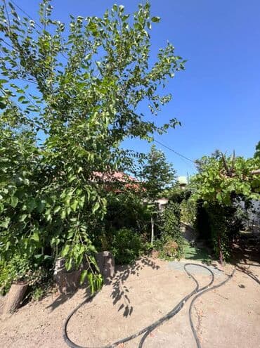 kirayə evlər 2022 bakı: 130 kv. m, 4 otaqlı — 19