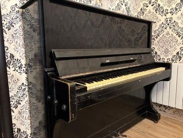 piano gallery baku: Piano, Akustik — 7