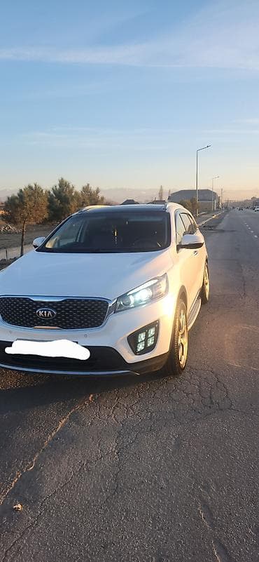 Su nəqliyyatı: Kia Sorento: 10 l | 2015 il Pikap — 4