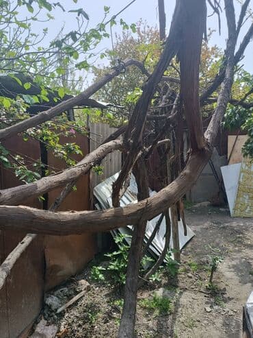 meyve tərəvəz: RT Arxasında körpüdən sağda 2 ci küçədə 2 mərtəbəli 8 otaqlı həyət evi — 23