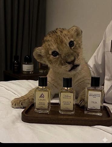 Yeni Simsiz (Bluetooth) Qulaqcıqlar, Hoco, rəng - Çəhrayı