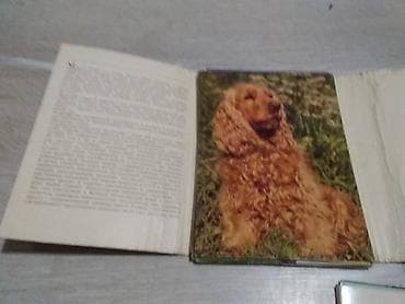 Velosiped ehtiyyat hissələri: Комплекты открыток советского времени,Пенаты 10 манат, Москва и Собаки — 7