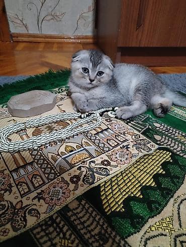 Məhsul: Namaz dəsti Tərkib: - Zərif naxışlarla işlənmiş namaz xalçası