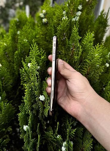lalafo iphone xs max: IPhone Xs Max, 256 GB, Matte Gold, Simsiz şarj — 4