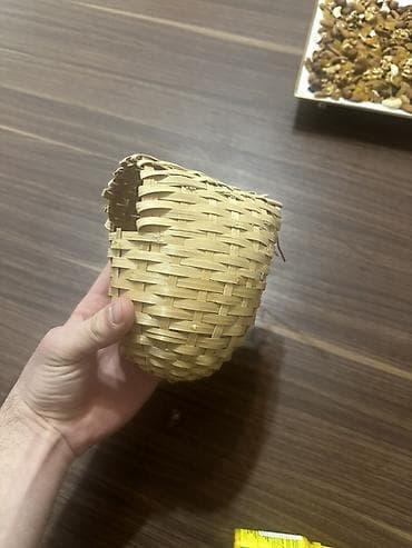 Gəmiricilər: Əla fürsət ələ öyrəşdirməyin tam vaxtıdır su qabıda üsdündə vrrilir — 4