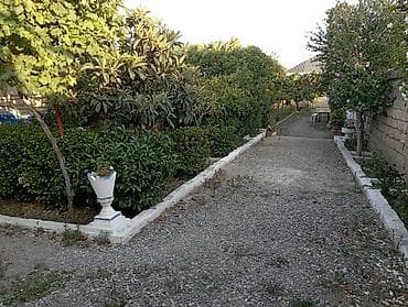 topaq: 6 sot, Biznes üçün, Mülkiyyətçi, Kupça (Çıxarış) — 8