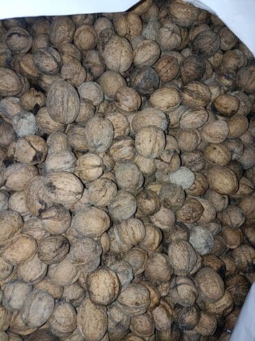 nəhrə yağı: Məhsul: Qabıqlı qoz Təsvir: - Təbii qabığında, tam dənəli qoz — 1