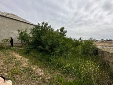 xacmaz rayonu seyidli kəndində torpaq sahəsi satılır: 4 sot, Mülkiyyətçi, Kupça (Çıxarış), Bələdiyyə — 1
