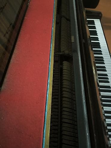 not dayağı: Piano, Akkord, Akustik — 3