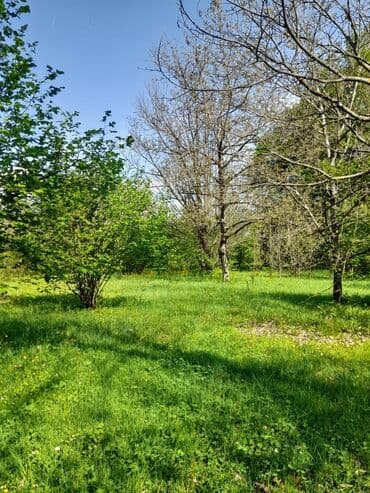 аренда и продажа недвижимости: 30 sot, Kənd təsərrüfatı, Mülkiyyətçi, Kupça (Çıxarış) — 8