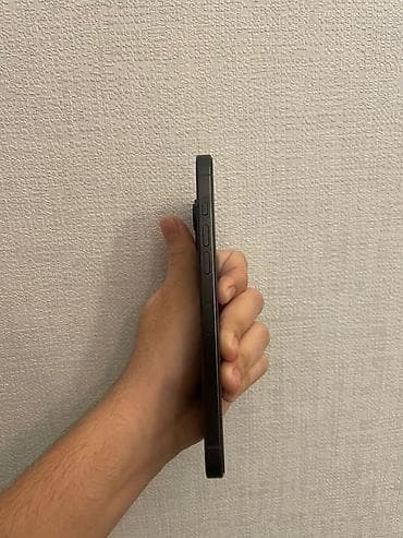 IPhone 16 Pro Max, 256 GB, Qara, Face ID — 4