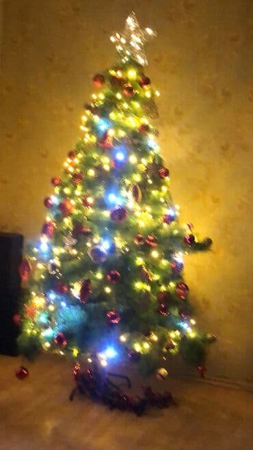 Горшки для растений: 1,80 boyu 60 man satilir — 1