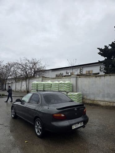 excel hyundai 1994: Hyundai Elantra: 1.6 l | 1996 il Sedan — 6