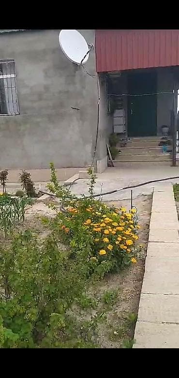 sutkaliq bag evi: Zeynalabdin Tağıyev, 120 kv. m, 4 otaqlı, Kombi, Qaz, İşıq — 4