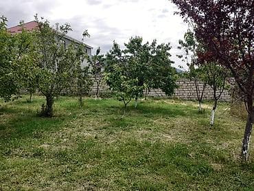 qubada torpaq satilir 2024: 6 sot, Tikinti, Maklerlər narahat etməsin, Kupça (Çıxarış) — 6