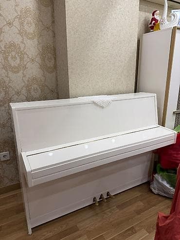 Musiqi alətləri: Ağ rəngli orijinal "PETROF" Pianosu 🌟 Petrof vertikal piano – ağ rəng — 3