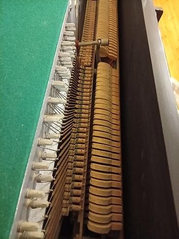 roland g 800: Piano, Belarus, Akustik — 3