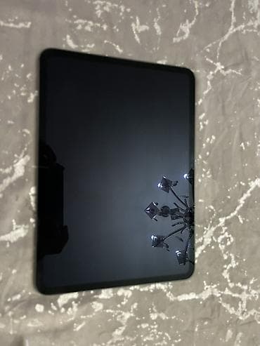 Фото и видеокамеры: Apple iPad Pro 11 (2024), 11", 256 ГБ — 2