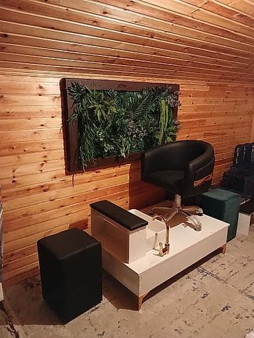 salon mebel: Salon mebelləri kreslolar dekorativ yaşılıq işləri yüksək keyfiyyətli — 5